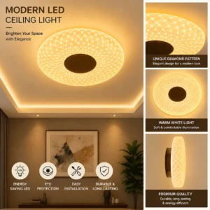 Modern LED Ceiling Light